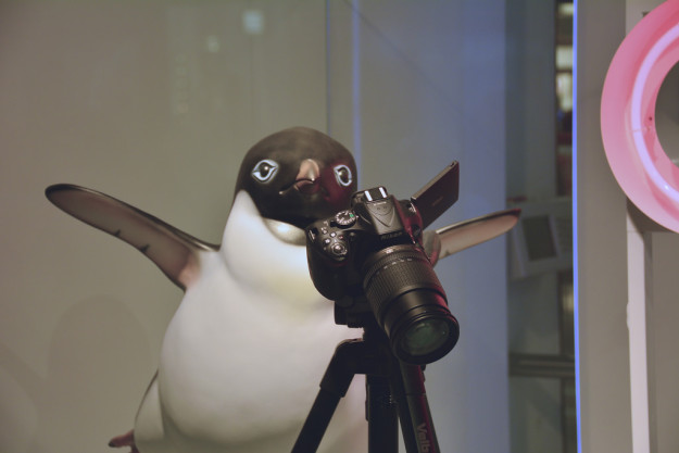 Penguin John Lewis Christmas Penguin